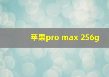 苹果pro max 256g